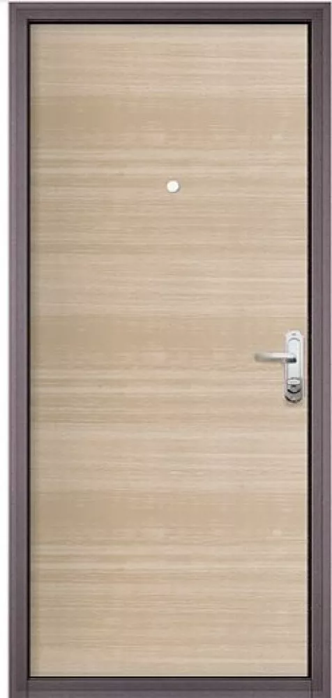 Входная дверь Mastino SLIM ECO MP-2