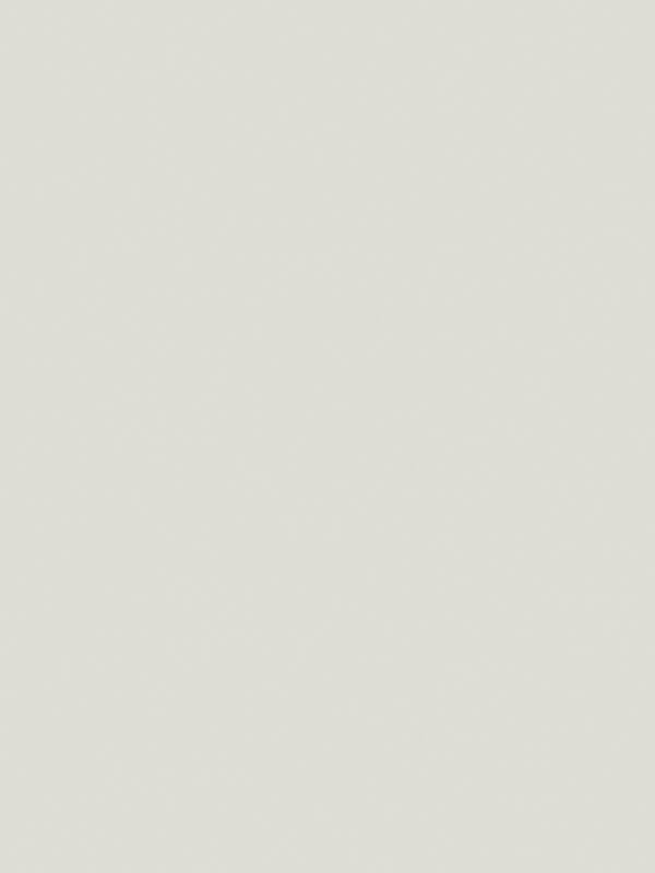 Межкомнатная дверь ALTO 12 2V цвет Светло-серый эмалит 