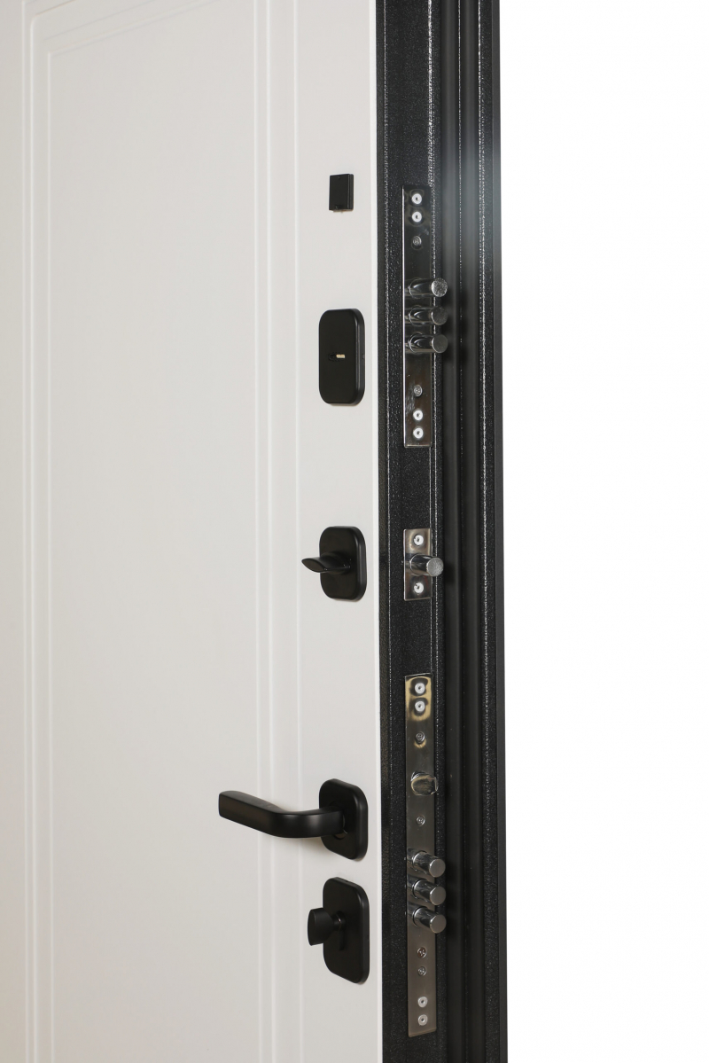 Входная дверь модель 10-1