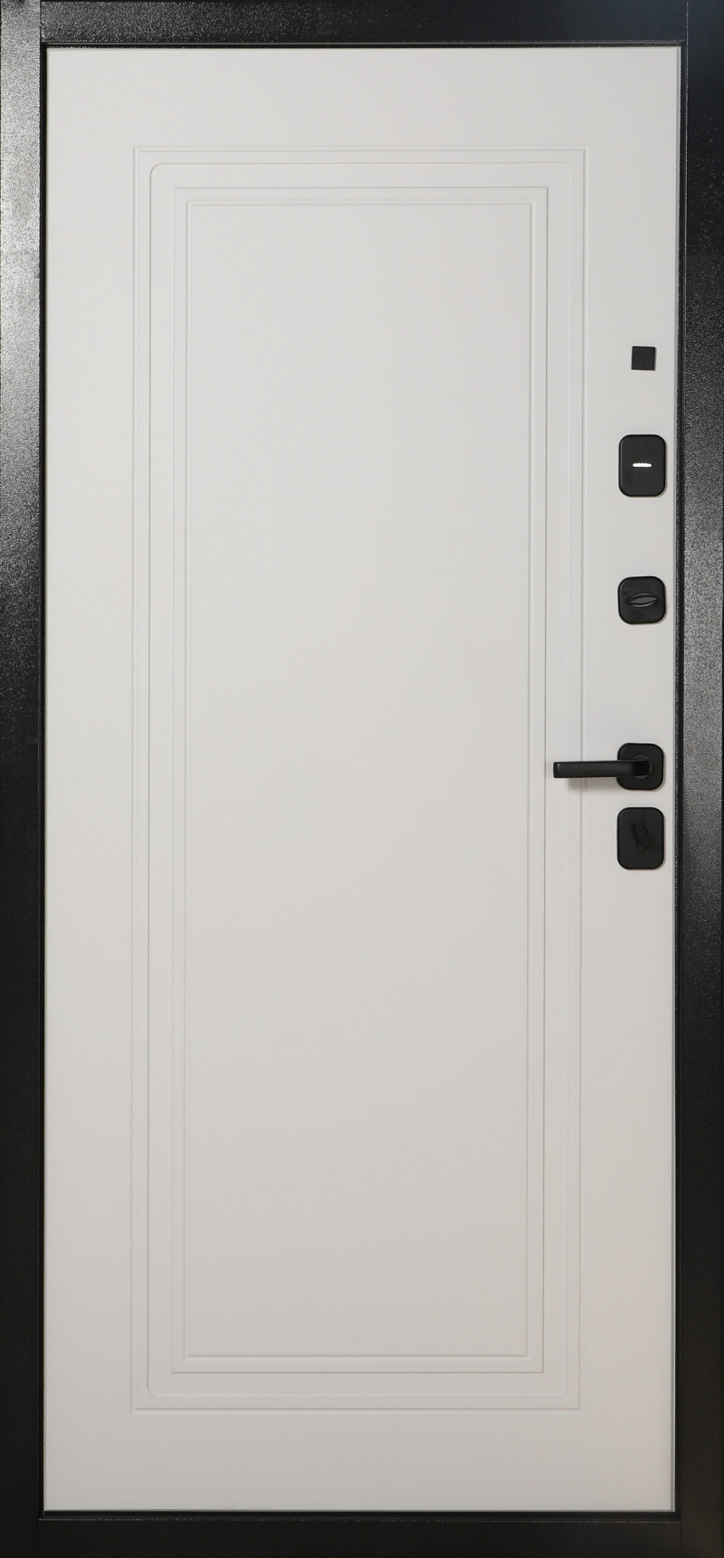 Входная дверь модель 10-1