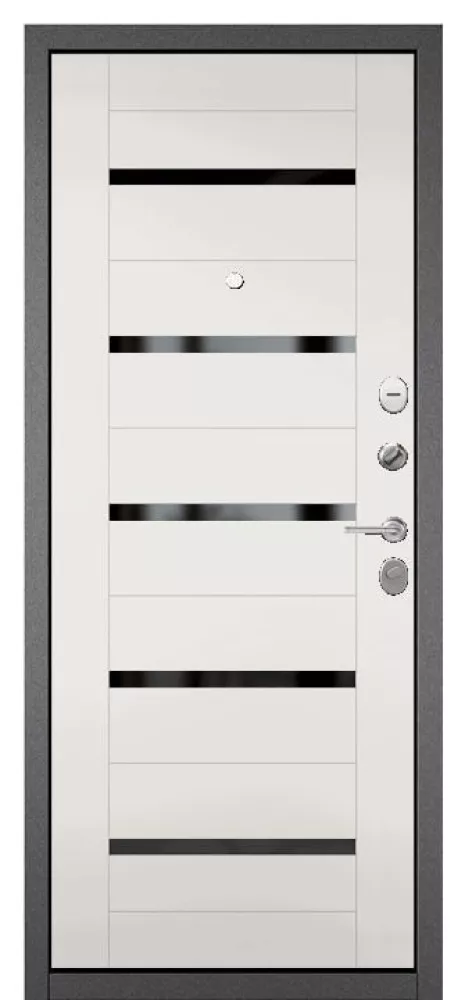 Входная дверь Mastino FAMILY ECO MP-19