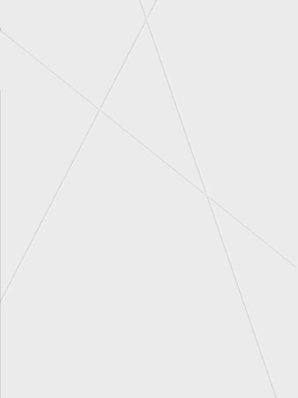 Межкомнатная дверь эмаль SCANDI S глухое без притвора Белый