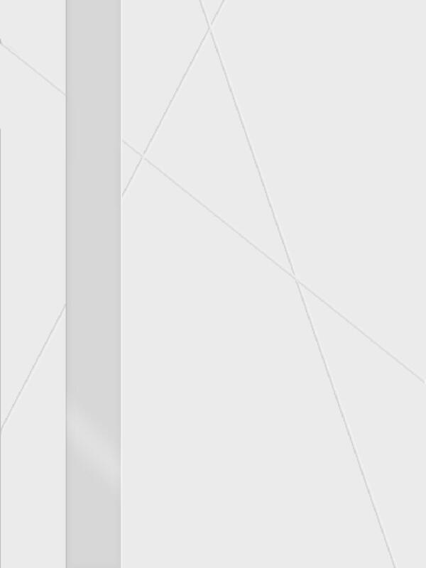 Межкомнатная дверь эмаль SCANDI S со стеклом Z1 без притвора Белый