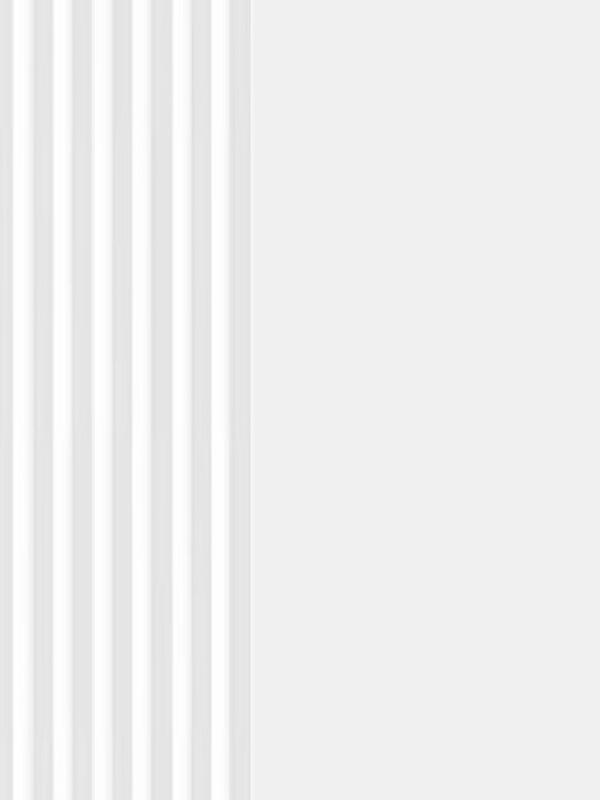 Межкомнатная дверь эмаль SCANDI 3D 1 глухое без притвора Белый