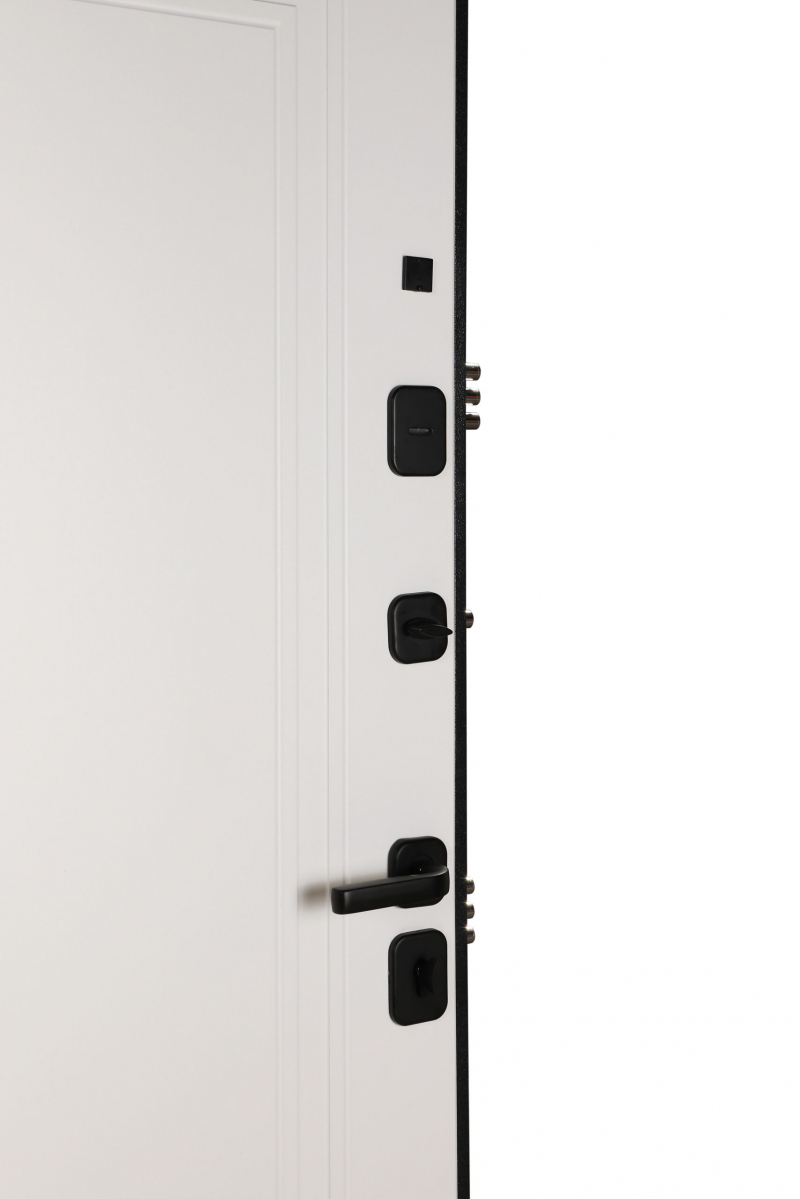 Входная дверь модель 10-1